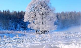 哈尔滨中小学2023寒假通知 哈尔滨元旦起放寒假