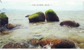 阳光守候里面的内容是什么 守候阳光守候你