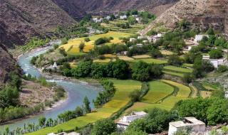 2018年厨师去新西兰中介费大约多少 新西兰留学中介