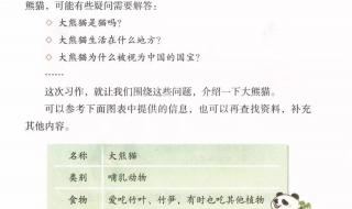 国宝大熊猫作文300字 国宝大熊猫作文300字