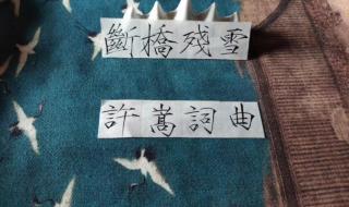 wap是谁的歌 wap歌词中文翻译完整