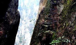 上海去黄山怎么走 上海到黄山旅游价格