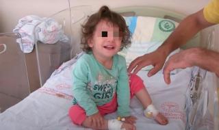 蛇被蛇咬到会不会死 女童遭蛇咬后咬死蛇