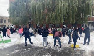 请家长来学校帮忙扫雪的通知 家长开铲车到校扫雪