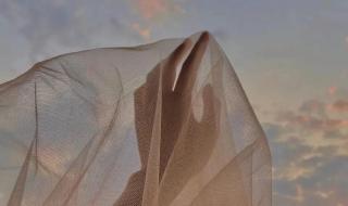 sayyouloveme sayyouloveme