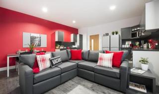 destiny爱情公寓 destiny爱情公寓