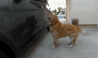 女生说我也想出去玩该怎么回复 我要出去玩