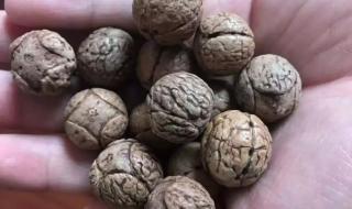 二串一猜对一场有钱吗 二串一猜对一场有钱吗