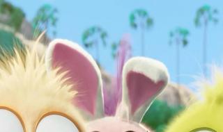 小鸟壁纸动态壁纸怎么保存 愤怒的小鸟电脑壁纸