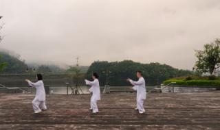 杨式太极拳85式教学 杨式太极拳85式教学