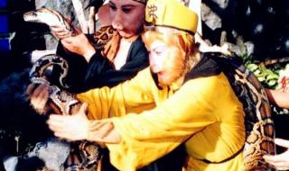 目前世界上最大的蟒蛇有多大 世界上的蟒蛇有多大