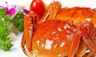 上海农产品展销会 上海农产品展销会