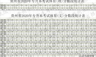 2020专升本预估分数