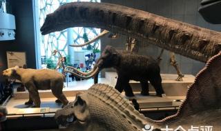 离上海自然博物馆比较近的景点有哪些 上海自然博物馆新馆