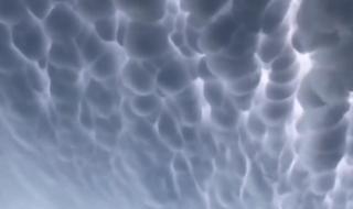 什么是奶状云 乳状云是什么的预兆