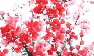 梅花魂课堂笔记图片 梅花魂课堂笔记图片