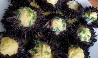 大连海胆蒸蛋怎么吃 海胆蒸蛋是道什么菜