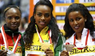 东京2021奥运会奖牌数排名 2014年东京奥运会中国奖牌榜