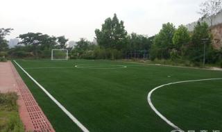 七人制足球场有角球区吗 造一个七人制足球场大概要多少钱